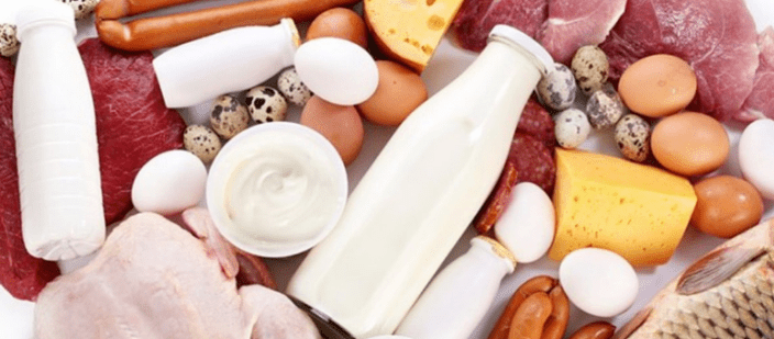 Ducan proteina dieta